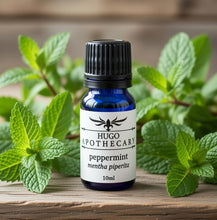 Load image into Gallery viewer, Peppermint – mentha piperita Essential oil 10ml