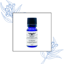 Load image into Gallery viewer, Eucalyptus Oil – eucalyptus globulus Essential oil 10ml
